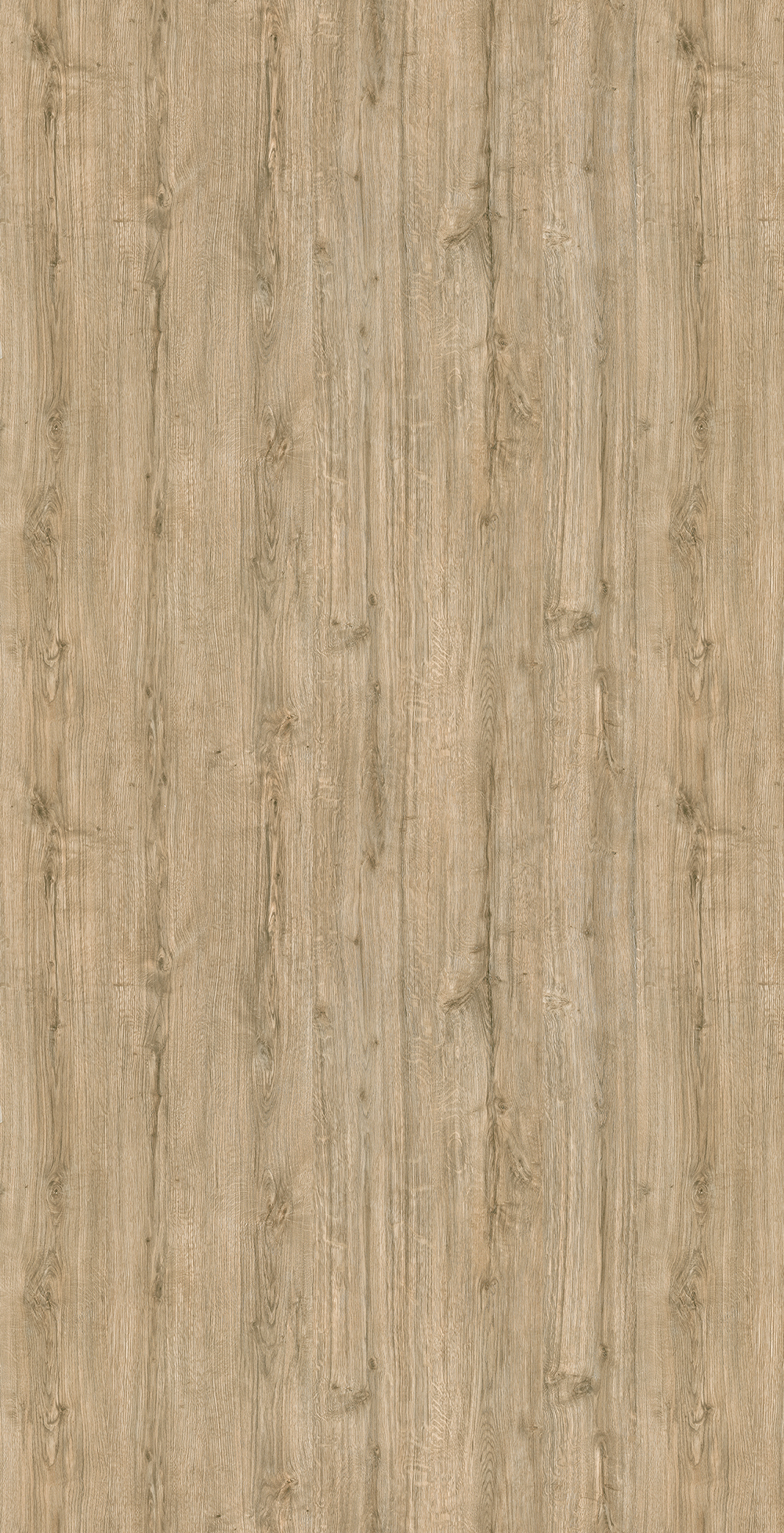 QUERCIA MIELE